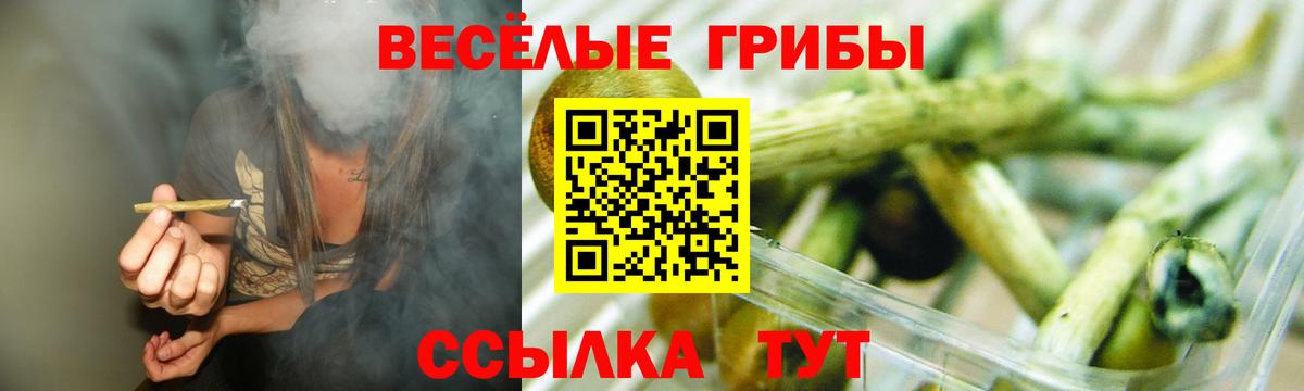 Галлюциногенные грибы Psilocybe Ликино-Дулёво